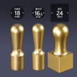 画像1: 会社印 ブラストチタン（ゴールド） 3本E24セット (1)